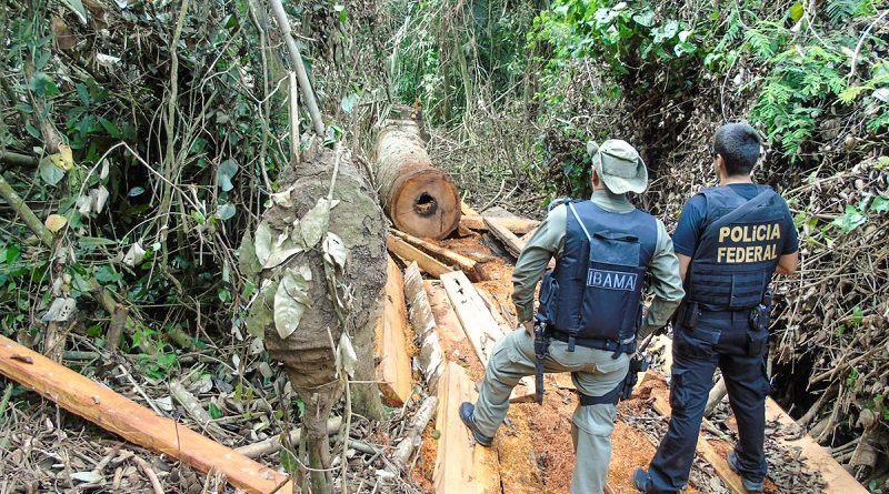 fiscalizacao_na_ti_arara