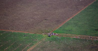 MATO GROSSO 13.10.2015 METRÓPOLE EXCLUSIVO EMBARGADO ESPECIAL ***ATENÇÃO NÃO PUBLICAR ANTES DO ESPECIAL*** AMAZÔNIA CERRADO FLORESTA SOJA CADERNO ESPECIAL COP ONU *** Equipe do jornal sobrevoou de helicóptero com fiscais do Ibama 240 quilômetros entre Sinop e Brasnorte. Foram avistados muitos hectares de desmatamento de floresta amazônica, mata de transição e cerrado para dar lugar a plantações gigantescas de soja e pastagem para gado. desmatamento para dar  Reportagem do Estadão percorreu diversas cidades do estado do Mato Grosso, estado que segundo medições foi o que mais desmatamento teve no ano, para conversar com fazendeiros de soja, ambientalistas, pesquisadores, índios e coletores de sementes para traçar um perfil das mudanças climáticas. FOTO  TIAGO QUEIROZ/ESTADÃO