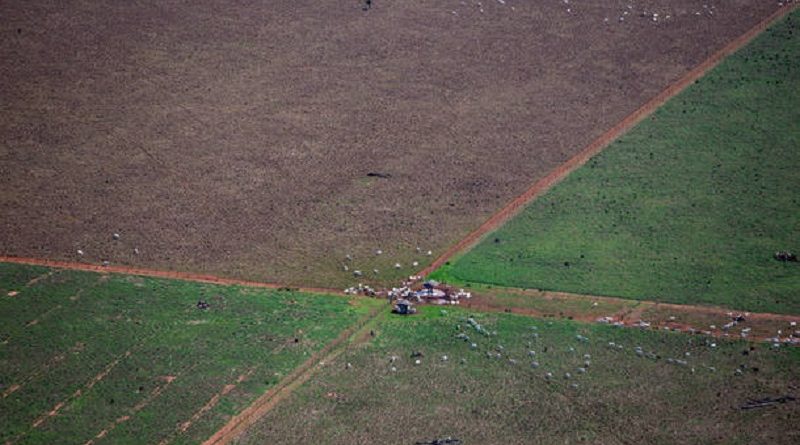 MATO GROSSO 13.10.2015 METRÓPOLE EXCLUSIVO EMBARGADO ESPECIAL ***ATENÇÃO NÃO PUBLICAR ANTES DO ESPECIAL*** AMAZÔNIA CERRADO FLORESTA SOJA CADERNO ESPECIAL COP ONU *** Equipe do jornal sobrevoou de helicóptero com fiscais do Ibama 240 quilômetros entre Sinop e Brasnorte. Foram avistados muitos hectares de desmatamento de floresta amazônica, mata de transição e cerrado para dar lugar a plantações gigantescas de soja e pastagem para gado. desmatamento para dar  Reportagem do Estadão percorreu diversas cidades do estado do Mato Grosso, estado que segundo medições foi o que mais desmatamento teve no ano, para conversar com fazendeiros de soja, ambientalistas, pesquisadores, índios e coletores de sementes para traçar um perfil das mudanças climáticas. FOTO  TIAGO QUEIROZ/ESTADÃO