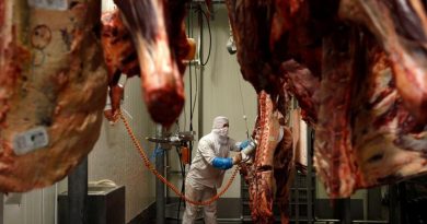 COMMODS-CARNE-POLONIA