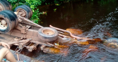 camioneiro morre em ponte