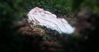 20190324_140017-1024x600