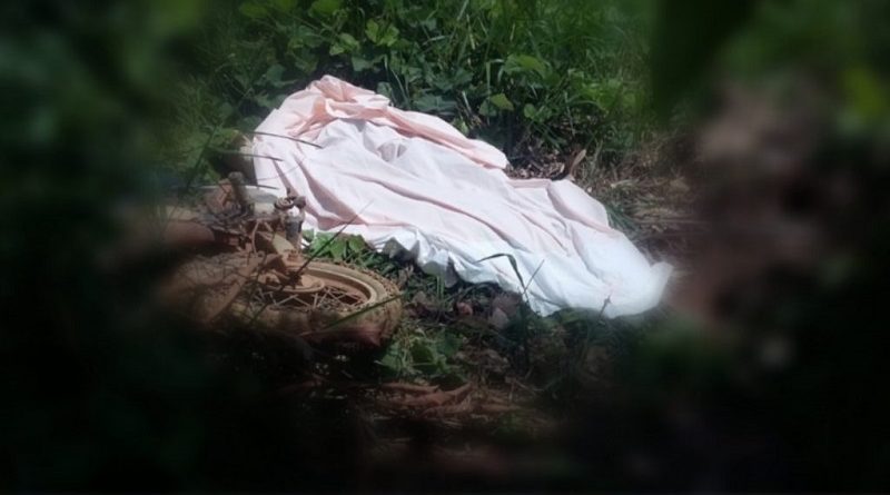 20190324_140017-1024x600