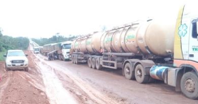 54728223_843856969296572_3099759600686071808_n