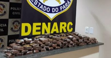 bolo de maconha