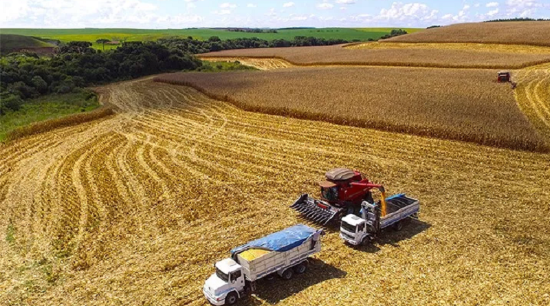 colheita soja belterrra