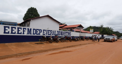 escola estadual trairao