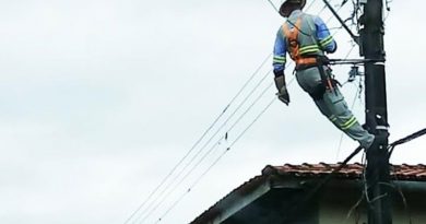 celpa-pendurado-barcarena