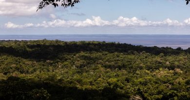 Floresta Nacional do Tapajós e o Rio Tapajós ao fundo —