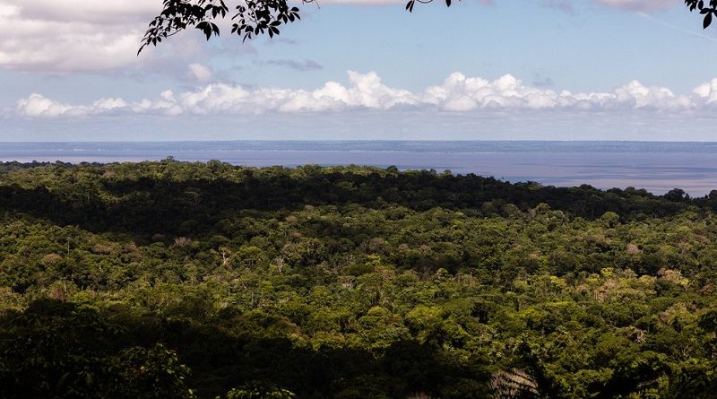 Floresta Nacional do Tapajós e o Rio Tapajós ao fundo —