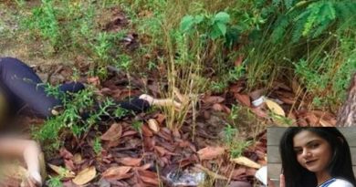 destaque-595809-morta