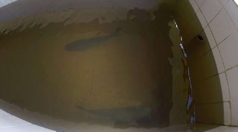 estacao-de-piscicultura