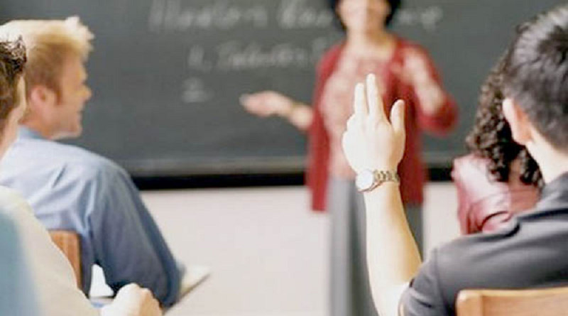 seleção professores