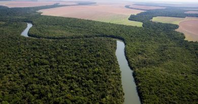 desmatamento-e-principal-preocupacao-ambiental-do-brasileiro-diz-pesquisa__377094_
