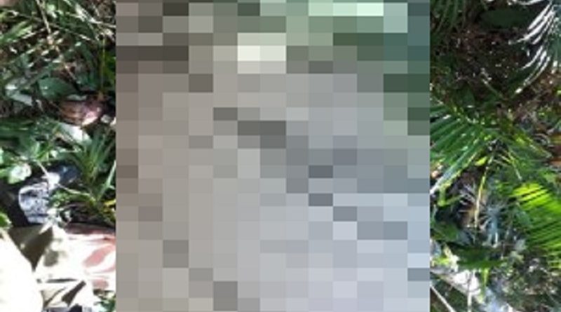 66058852_360259807965428_5450309882261536768_n