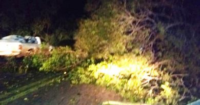 Artigo-Destaque_00529442_00