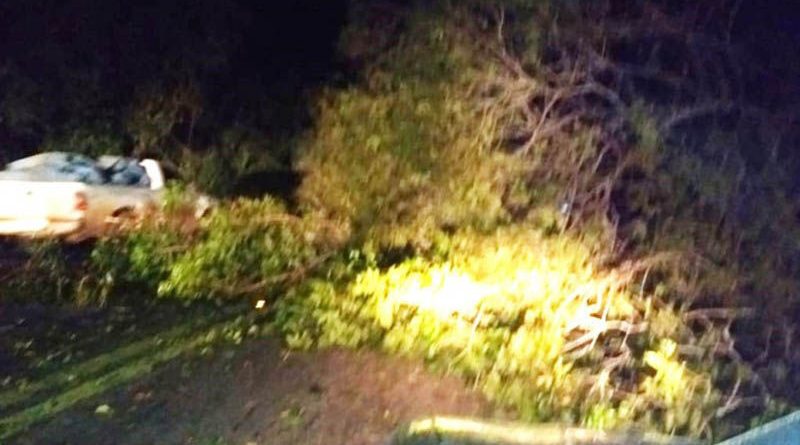 Artigo-Destaque_00529442_00