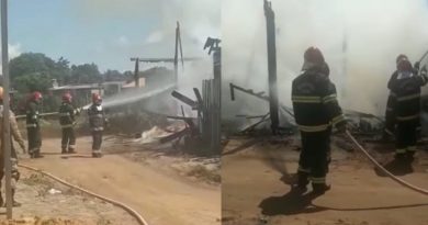 PhotoGrid_1563150239010-1024x614 (1)