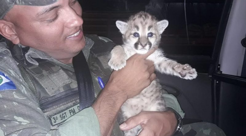 WhatsApp-Image-2019-07-18-at-19.26.37-990x556