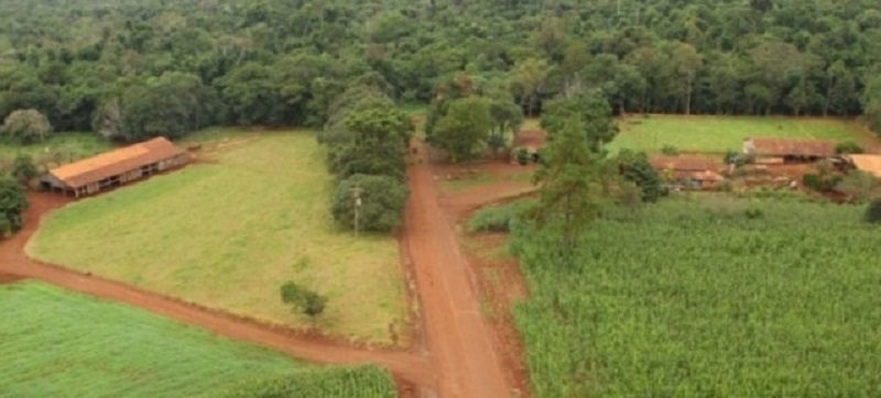 colono estrada parque