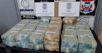 Avião com R$ 4,6 milhões fez pouso forçado e polícia encontrou malas de dinheiro em Alta Floresta — Foto: Polícia Civil de Alta Floresta (MT)