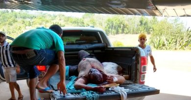 f8777a12-956b-4b3b-801c-a0fbdd3339e6