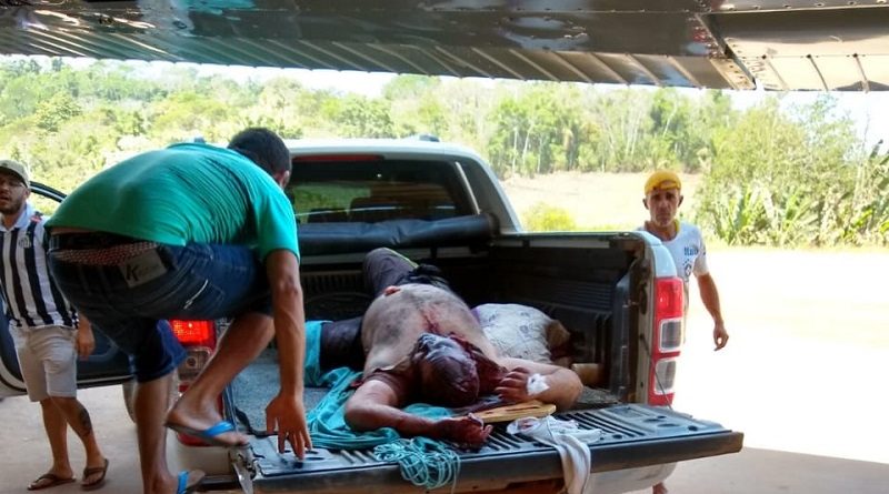 f8777a12-956b-4b3b-801c-a0fbdd3339e6