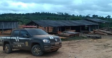 viatura-da-policia-civil-no-local-de-apreencao