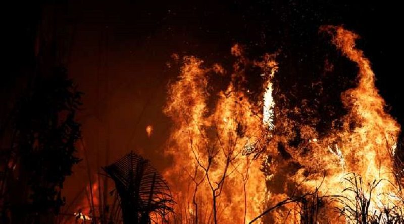 FOGO AMAZONIA