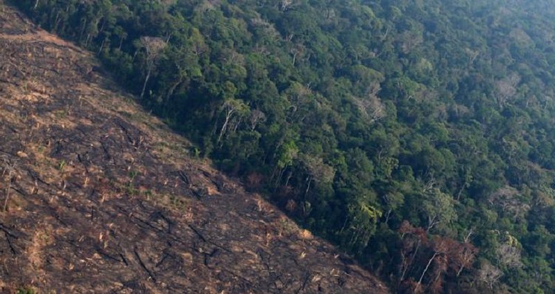 Queimadas-na-Amazonia