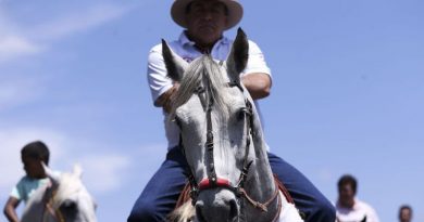 Brasília - Vaqueiros  protestam, na Esplanada dos Ministérios, contra a proibição da vaquejada. (Marcelo Camargo/Agência Brasil)