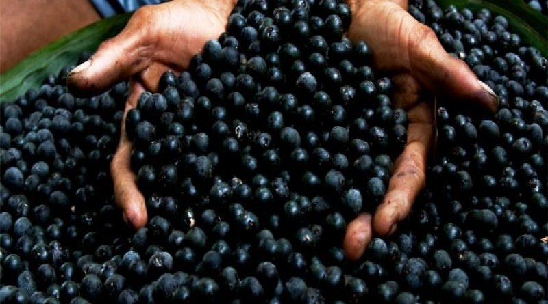 açai