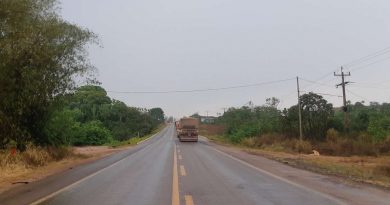 Fila na rodovia BR 163 (Foto:Jornal Folha do Progresso)