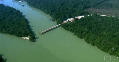 Ponte é construída sem autorização sobre o rio Jamanxim, no Pará — Foto: Reprodução/TV Globo