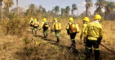 prevfogo_ibama_-_foto_portal_governo_de_tocantins