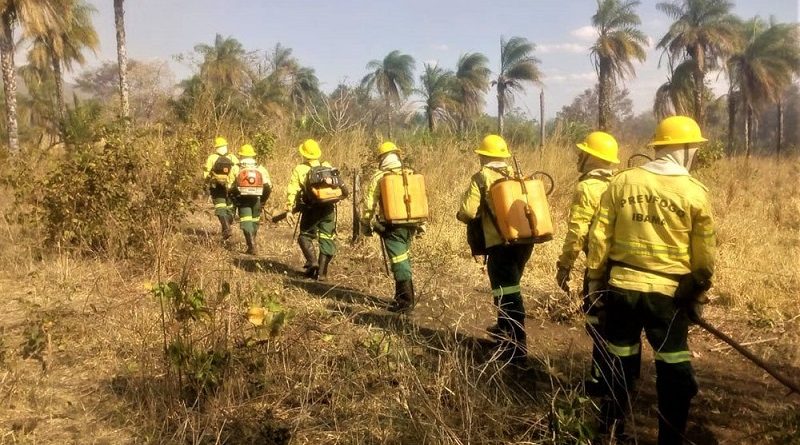 prevfogo_ibama_-_foto_portal_governo_de_tocantins