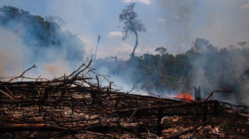 15671979045d698ad0e9614_1567197904_3x2_md