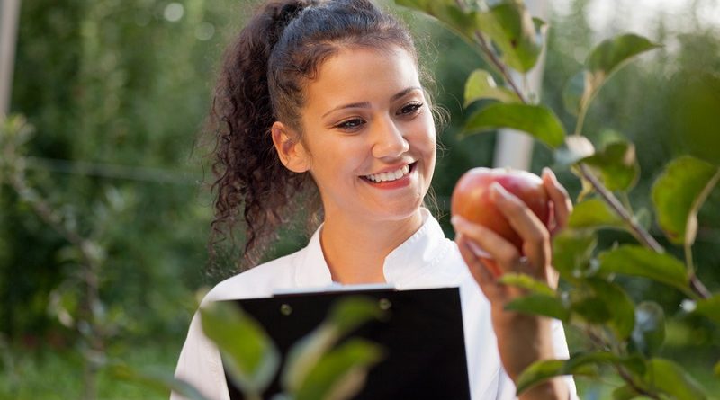 smiling agronomist with notebook standing in apple orchard