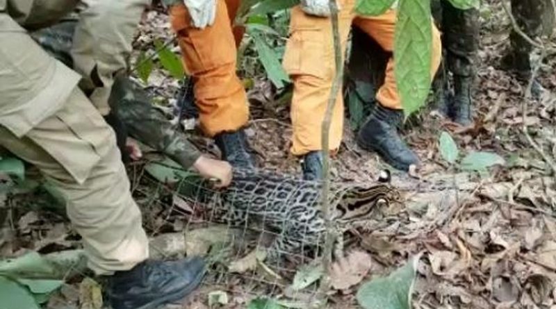 JAGUATIRICA BOMBEIROS