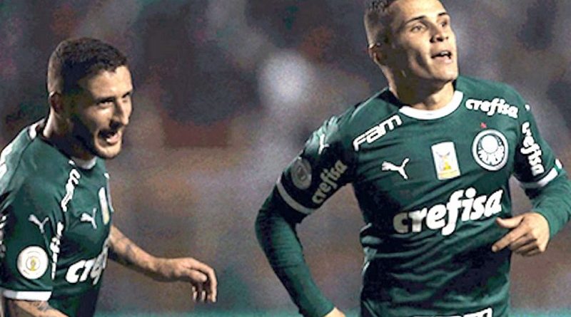 Palmeiras-julho-de-2019-ass-990x556