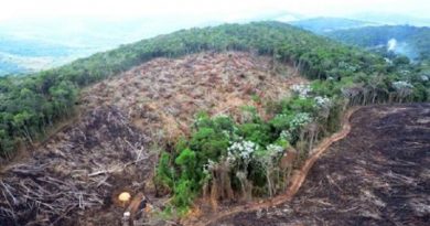 desmatamento-ilegal-amazonia