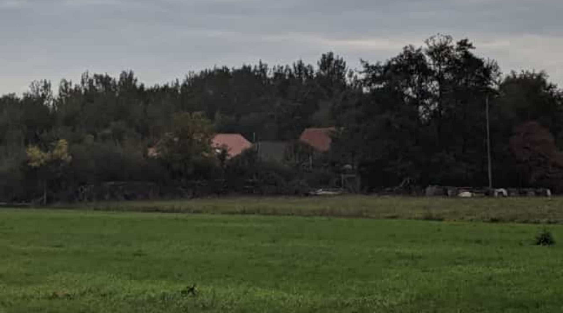 familia vevi 9 anos no porão