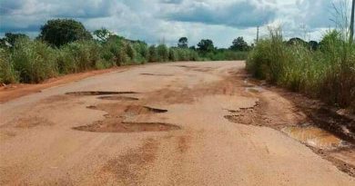 pa-449-floresta-do-araguaia