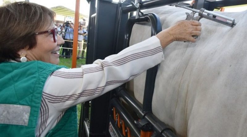 Destaque-Ministra-vacina_00541050_0_