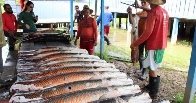 PHOTO-2019-11-18-18-47-48