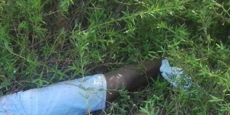 WhatsApp-Image-2019-11-11-at-09-07-44