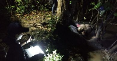 WhatsApp-Image-2019-11-13-at-20-26-44