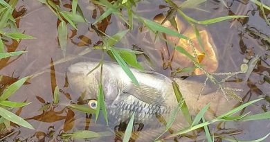 whatsapp-image-2019-11-25-at-07.27.50-1-