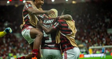 Flamengo-990x556