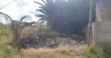 casa jdm america fogo